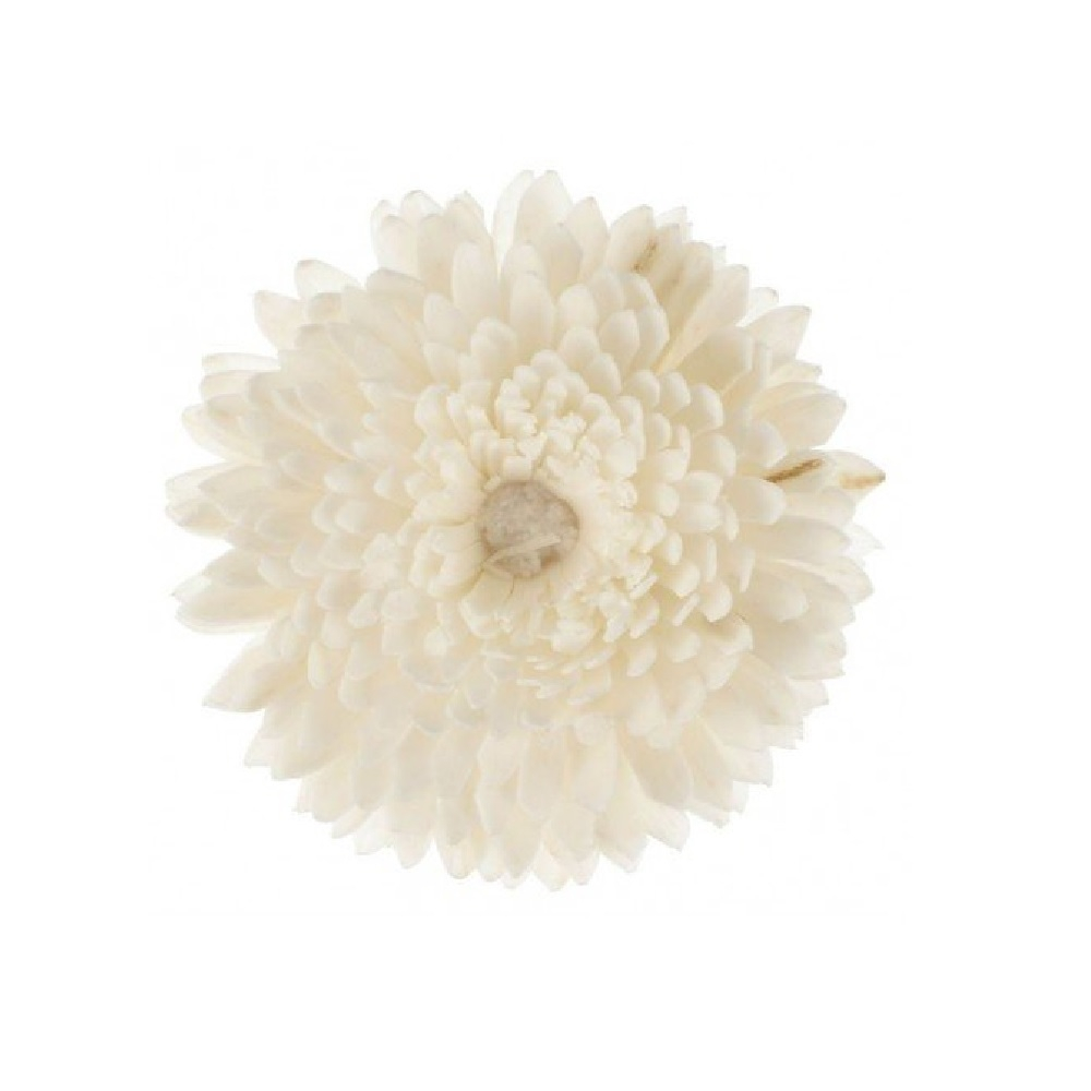 Non Communiqué Fleur De Goatier Petit Modèle Christen - Goa - Image 2