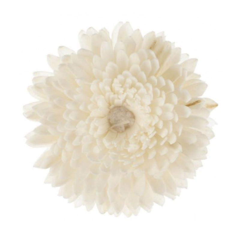 Fleur de goatier Christen 11x11 cm