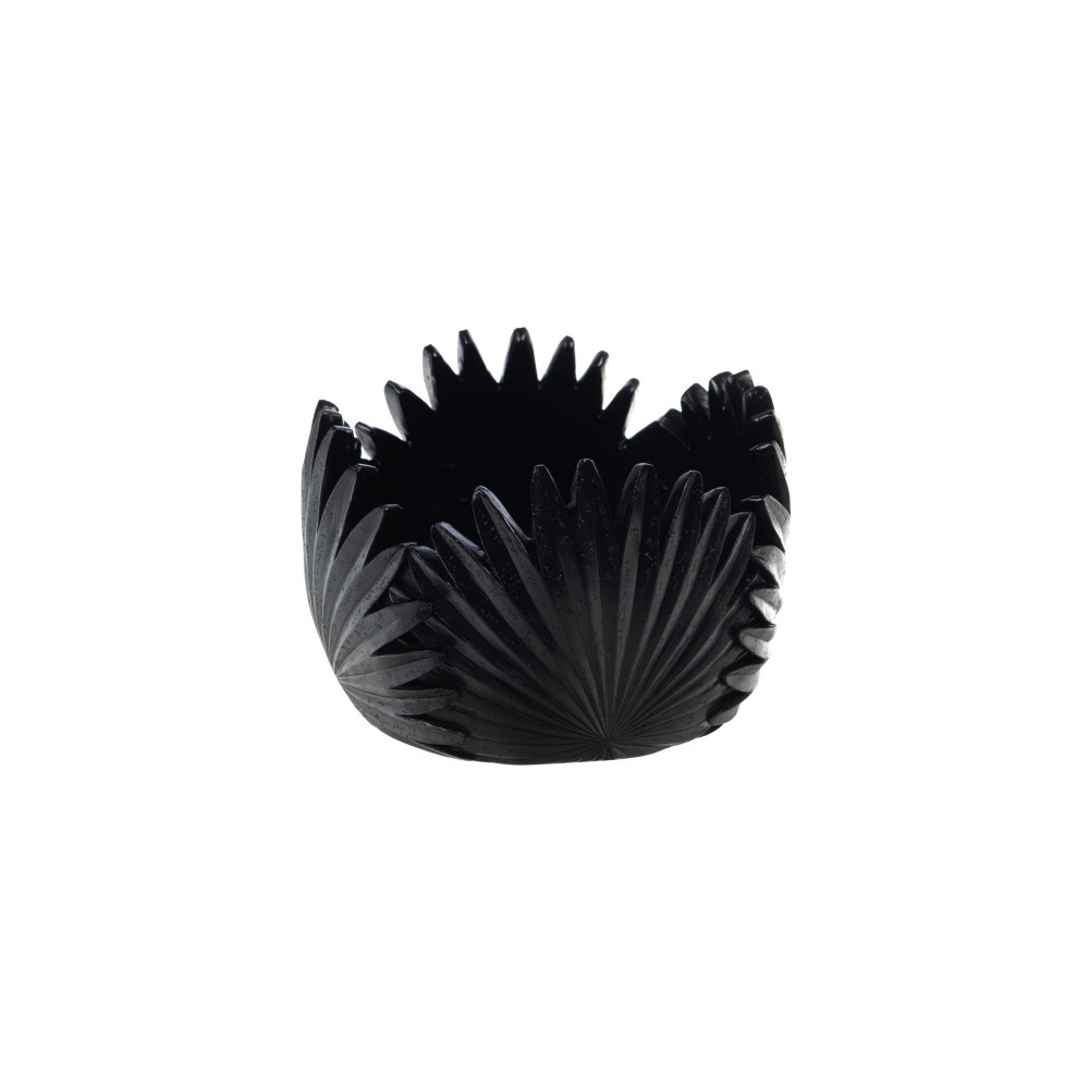 Non Communiqué Noire/Noir Coupe Tropical 15 Cm - Amadeus - Résine - Image 2